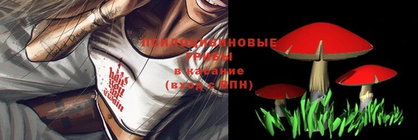 mdpv Корсаков