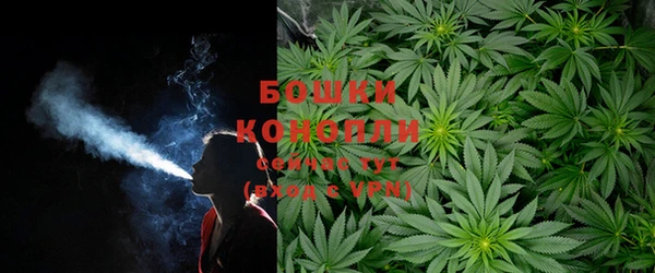 mdpv Корсаков