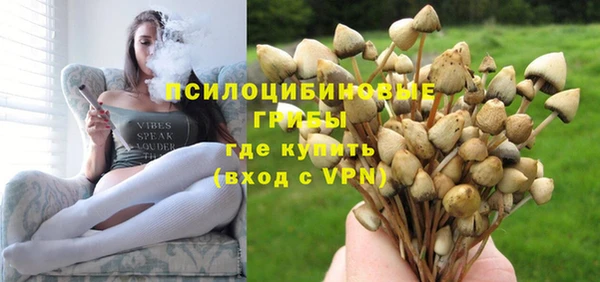 мескалин Коряжма