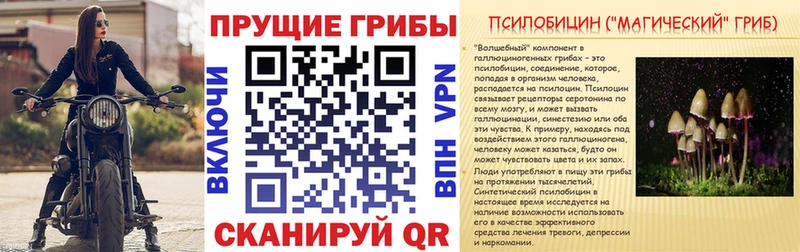 Галлюциногенные грибы мицелий  Купить закладки  Беломорск 